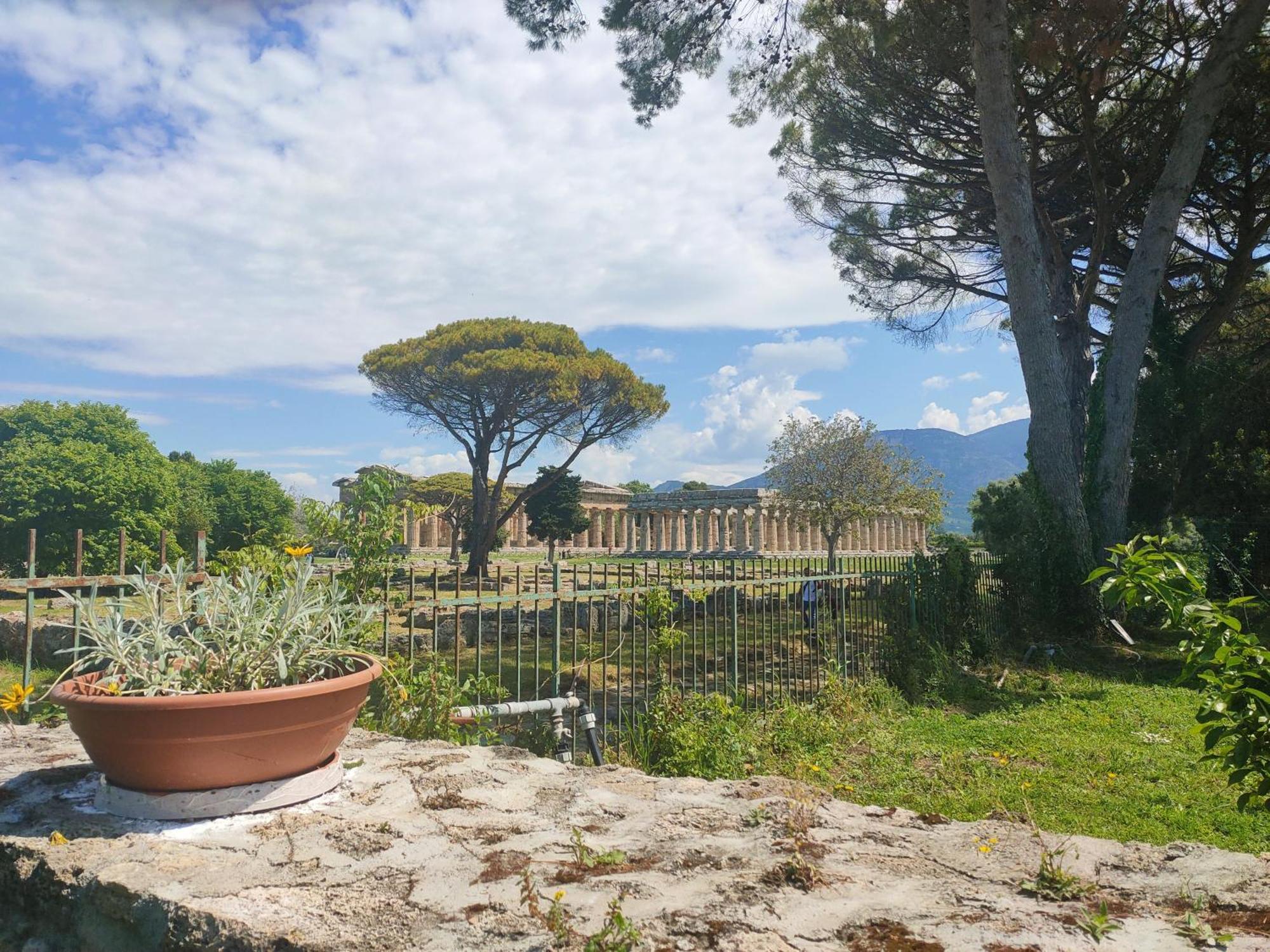 Ferienwohnung Il Giardino Di Athena 1 Paestum Zimmer foto