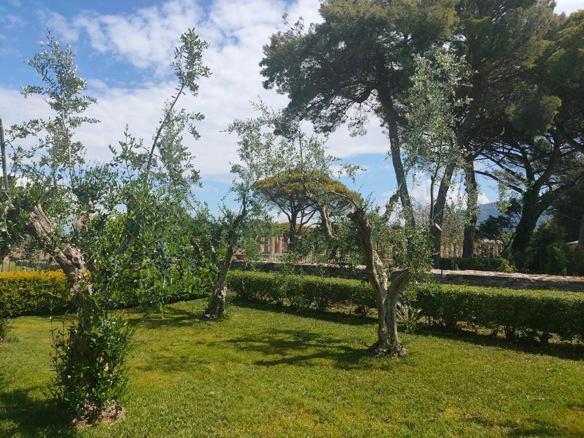 Ferienwohnung Il Giardino Di Athena 1 Paestum Exterior foto
