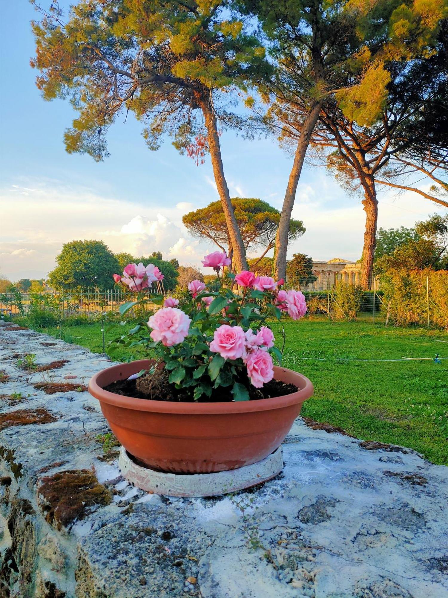 Ferienwohnung Il Giardino Di Athena 1 Paestum Exterior foto